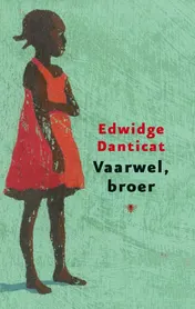 Omslag van Vaarwel broer