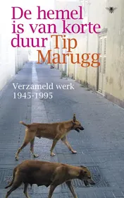Omslag van De hemel is van korte duur