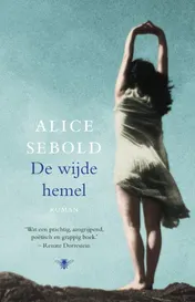 Omslag van De wijde hemel