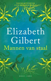 Omslag van Mannen van staal