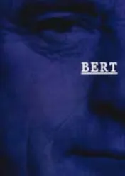 Omslag van Bert en het beeld