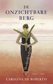 Omslag van De onzichtbare berg