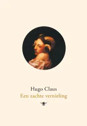 Omslag van Een zachte vernieling