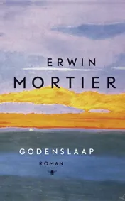 Omslag van Godenslaap