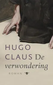 Omslag van De verwondering