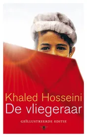 Omslag van De vliegeraar
