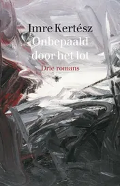 Omslag van Onbepaald door het lot