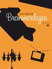 Omslag van Brommerdagen