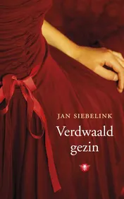 Omslag van Verdwaald gezin