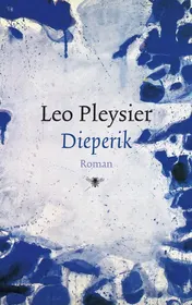 Omslag van Dieperik