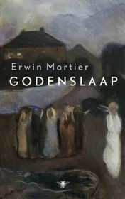 Omslag van Godenslaap