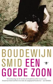Omslag van Een goede zoon