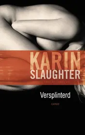 Omslag van Versplinterd