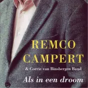 Omslag van Als in een droom