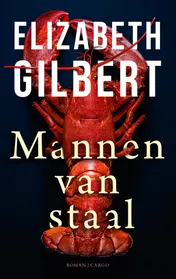Omslag van Mannen van staal