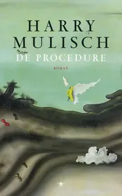 Omslag van De procedure