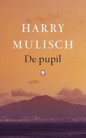 Omslag van De pupil