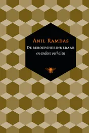 Omslag van De beroepsherinneraar