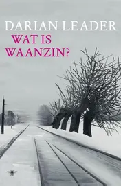Omslag van Wat is waanzin