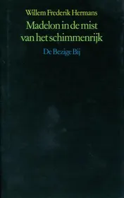 Omslag van Madelon in de mist van het schimmenrijk