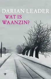 Omslag van Wat is waanzin?