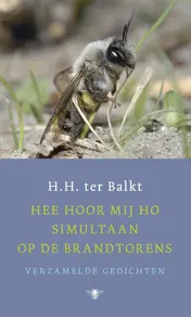 Omslag van Hee hoor mij ho simultaan op de brandtorens
