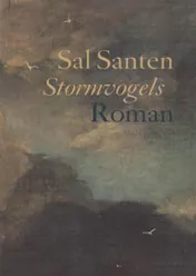 Omslag van Stormvogels