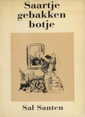 Omslag van Saartje gebakken botje