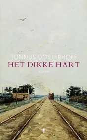 Omslag van Het dikke hart