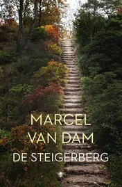Omslag van De steigerberg