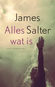 Omslag van Alles wat is