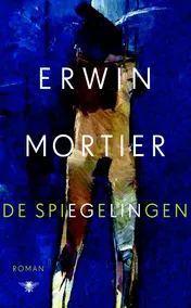 Omslag van De spiegelingen