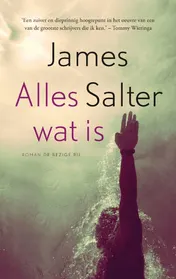Omslag van Alles wat is