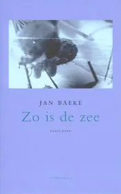 Omslag van Zo is de zee