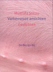 Omslag van Varkensroze ansichten