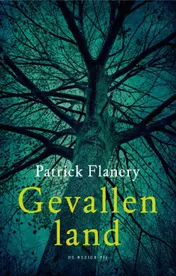 Omslag van Gevallen land