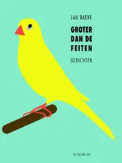 Omslag van Groter dan de feiten