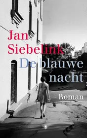 Omslag van De blauwe nacht