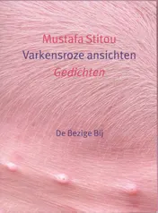 Omslag van Varkensroze ansichten