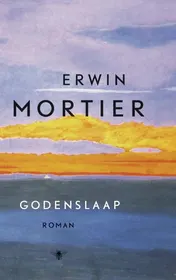Omslag van Godenslaap