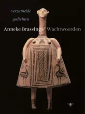 Omslag van Wachtwoorden