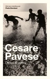 Omslag van De mooie zomer