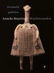 Omslag van Wachtwoorden