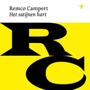 Omslag van Het satijnen hart