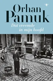 Omslag van Dat vreemde in mijn hoofd