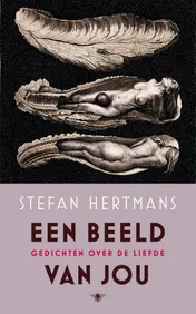 Omslag van Een beeld van jou