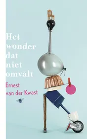 Omslag van Het wonder dat niet omvalt
