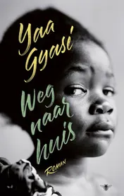 Omslag van De weg naar huis