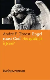 Omslag van Engel naast God