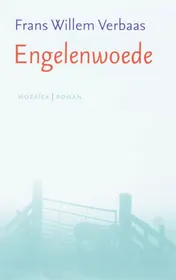 Omslag van Engelenwoede